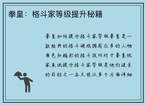 拳皇：格斗家等级提升秘籍